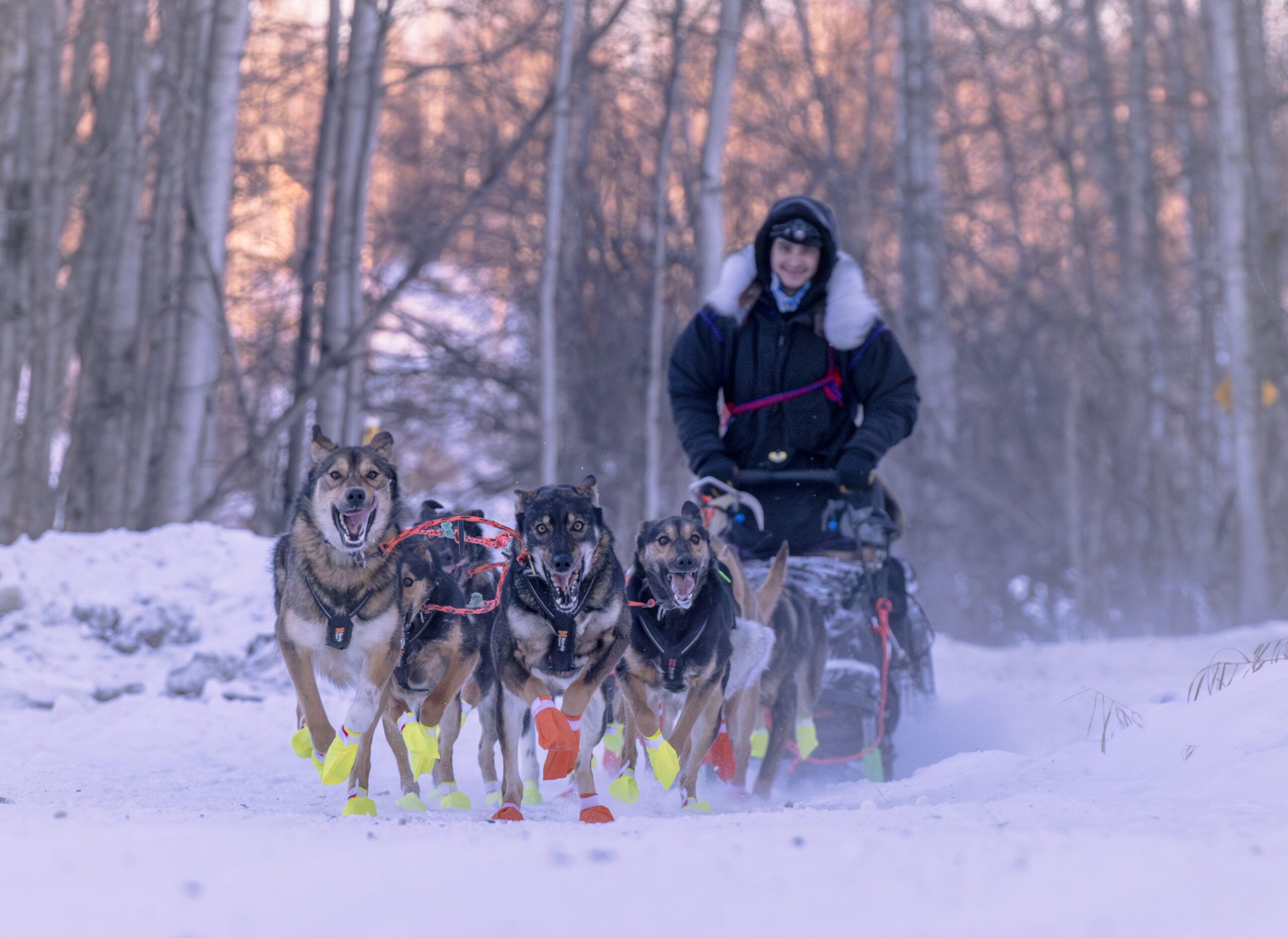 @juliaredington_2025 Knik 200_day one--7 (1)